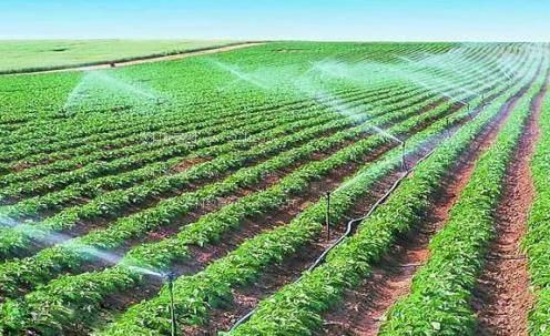 乱轮高潮破处农田高 效节水灌溉